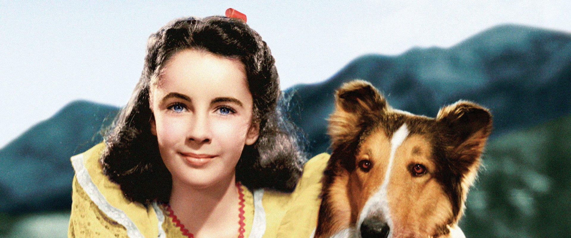 Courage of Lassie backdrop