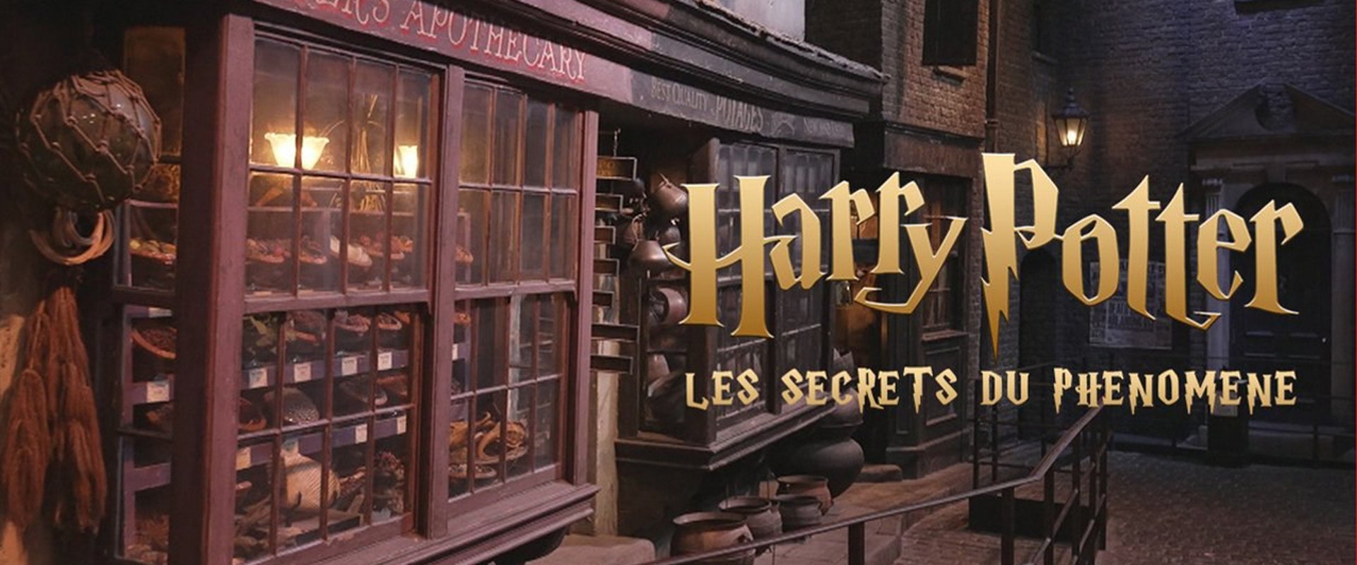 Harry Potter : les secrets du phénomène