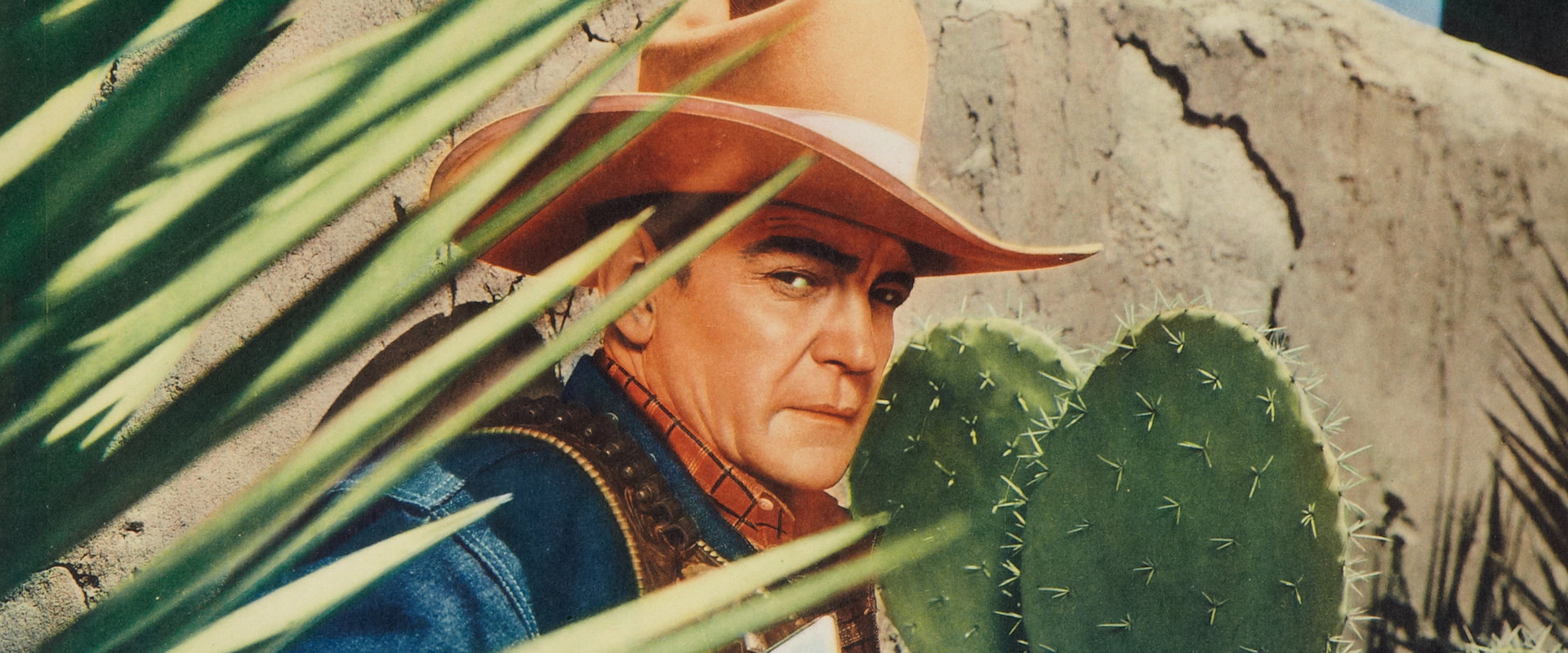 Down Texas Way backdrop