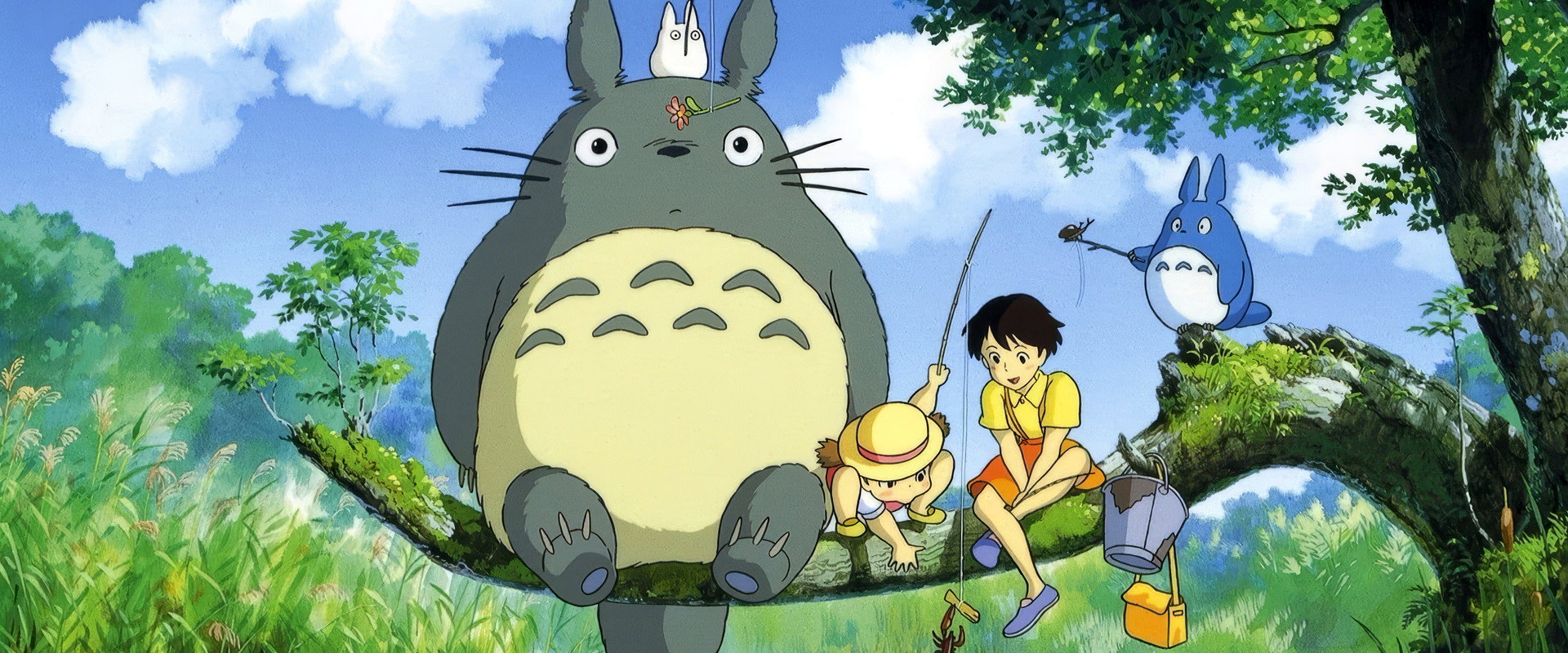 My Neighbor Totoro backdrop