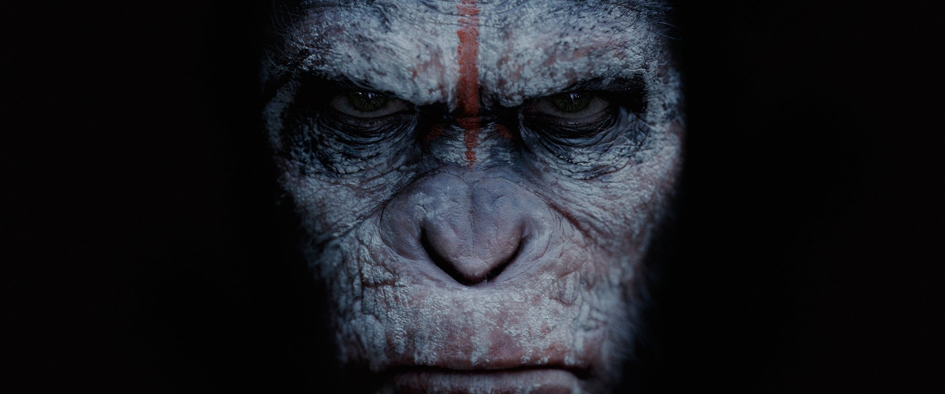 Dawn of the Planet of the Apes backdrop