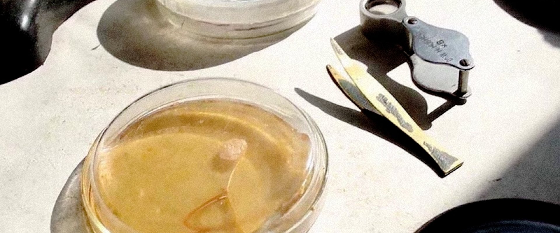 Penicillin: A Medical Revolution