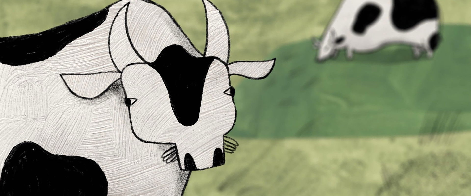 About a Cow backdrop