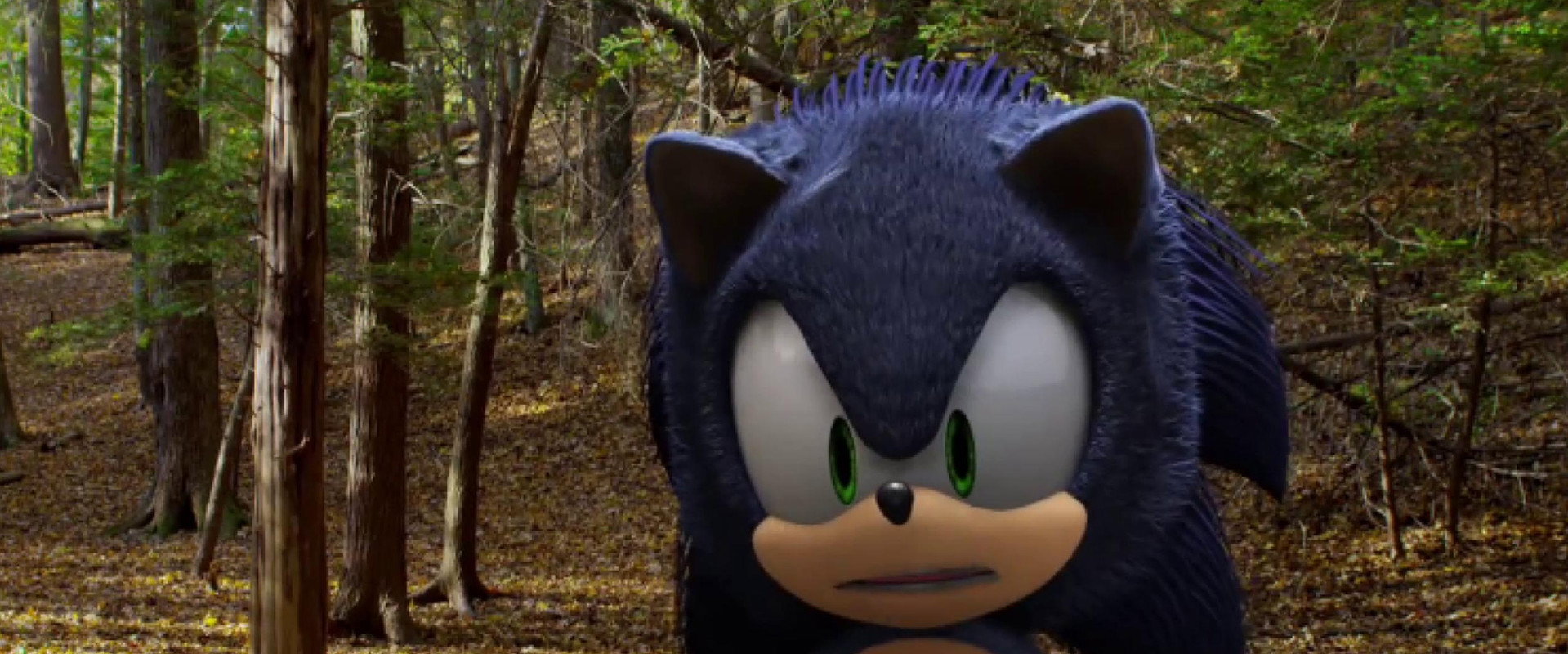 Sonic backdrop