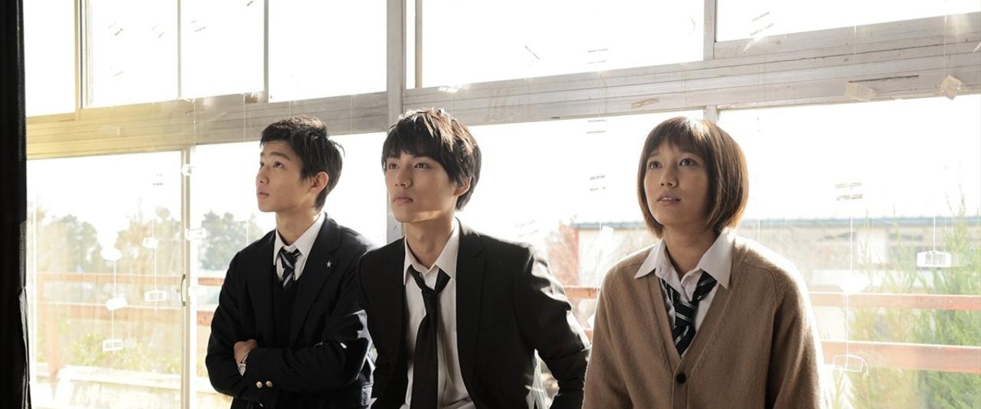 Enoshima Prism backdrop