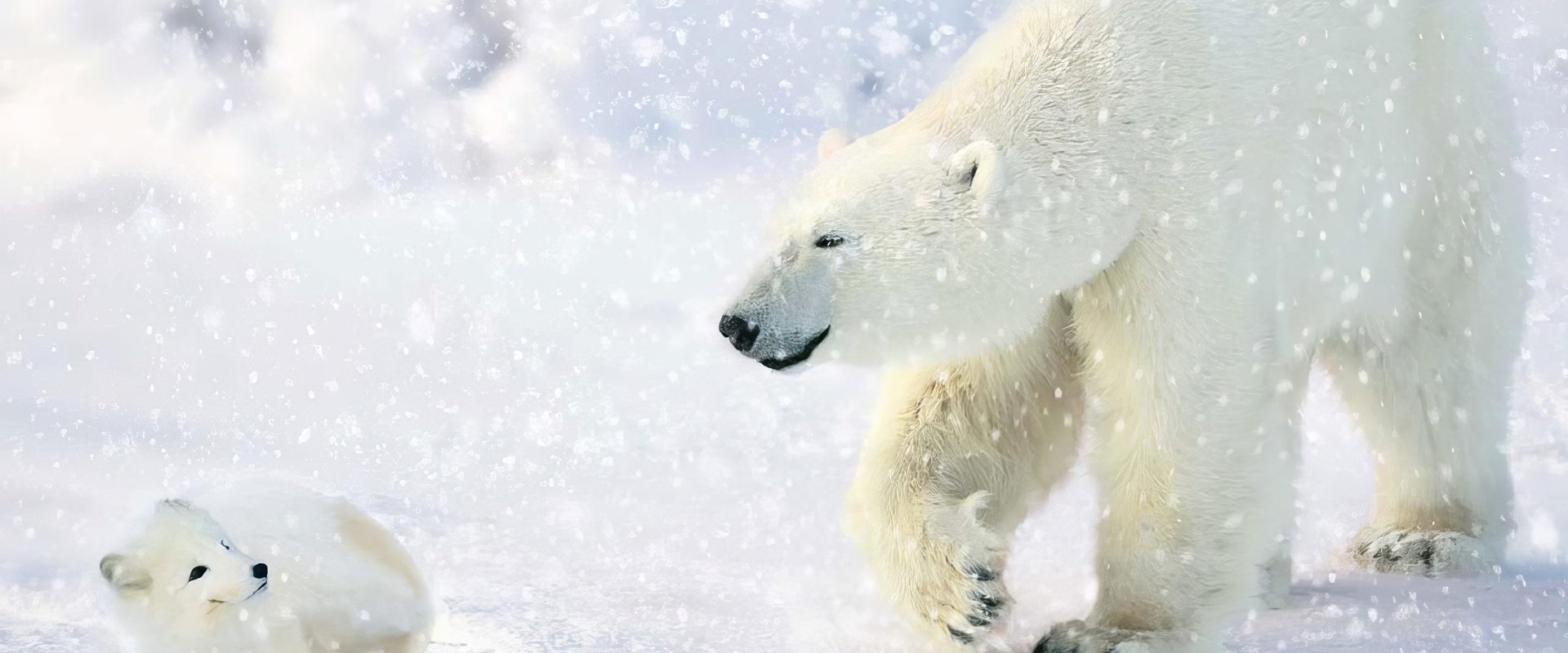 The Great Polar Bear Adventure