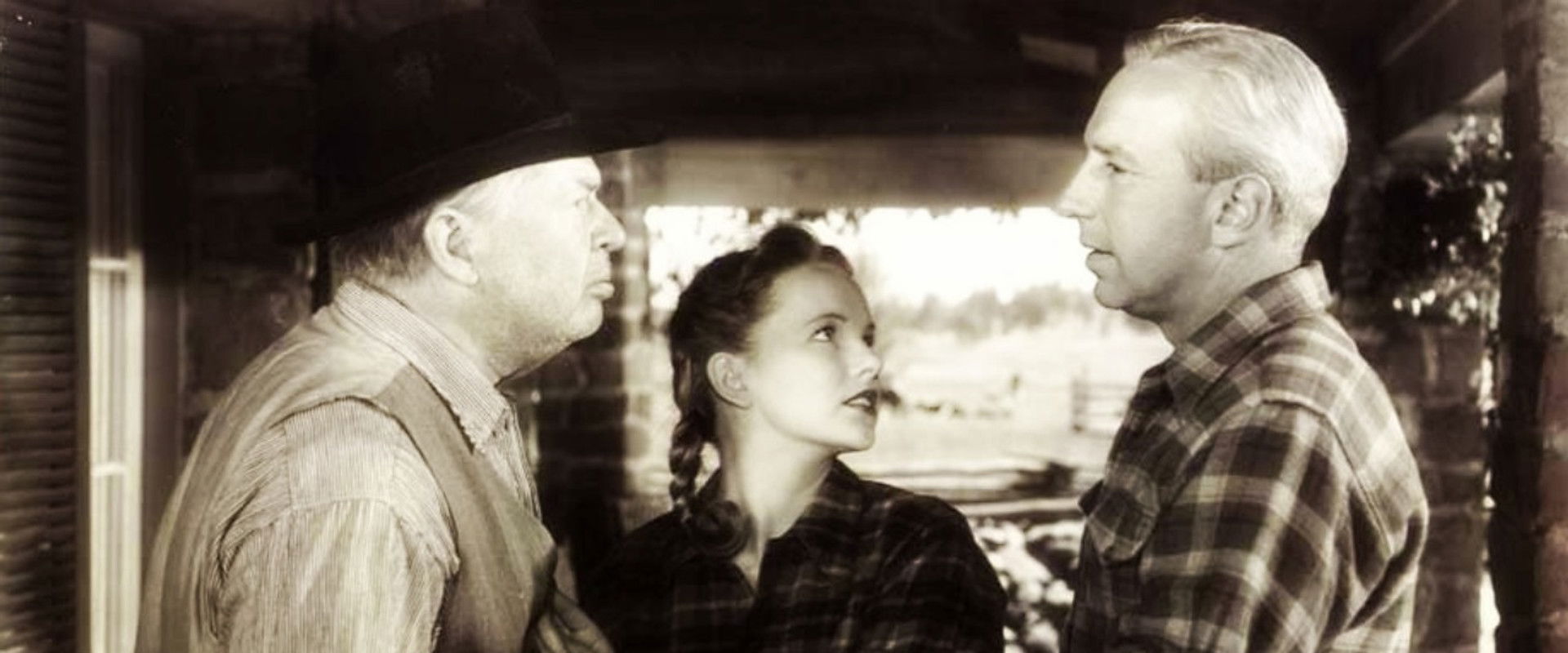 Green Grass of Wyoming backdrop