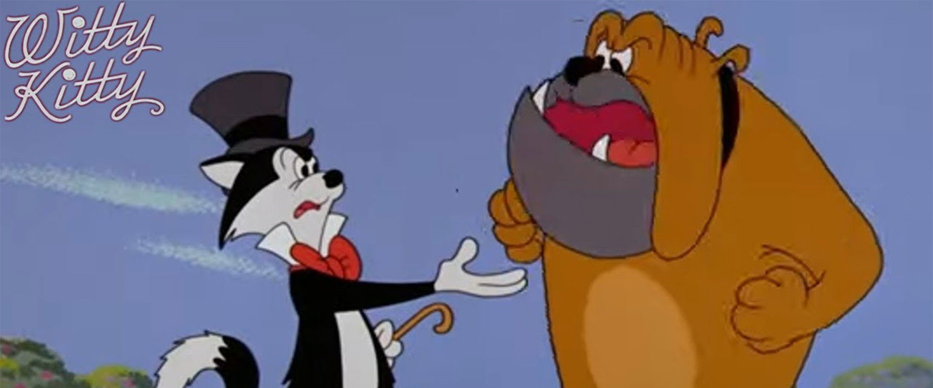 Witty Kitty backdrop