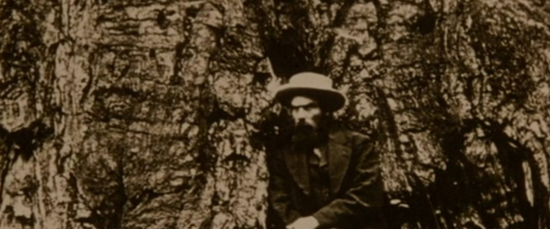 Eadweard Muybridge, Zoopraxographer backdrop