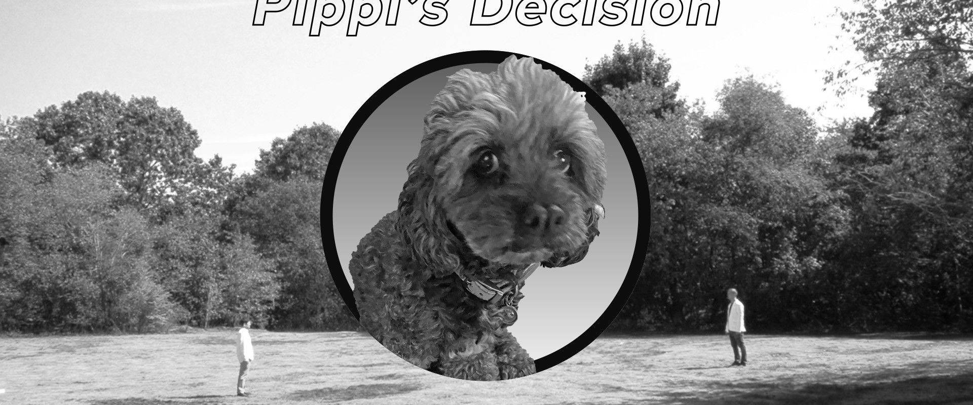 Boston Johnny backdrop