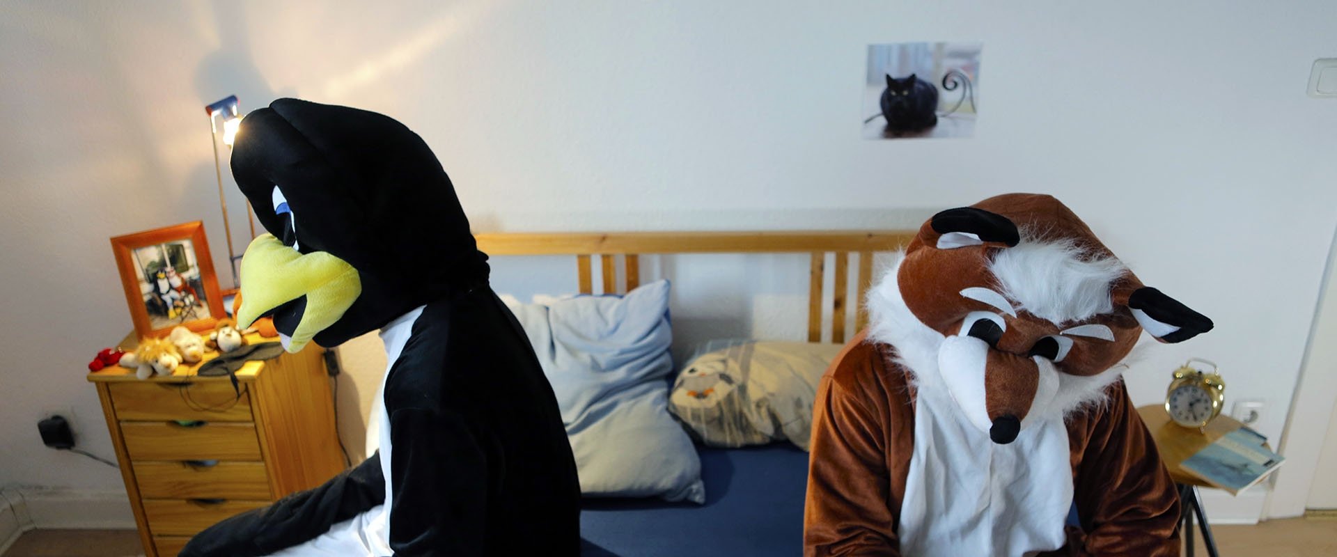 Fox & Penguin