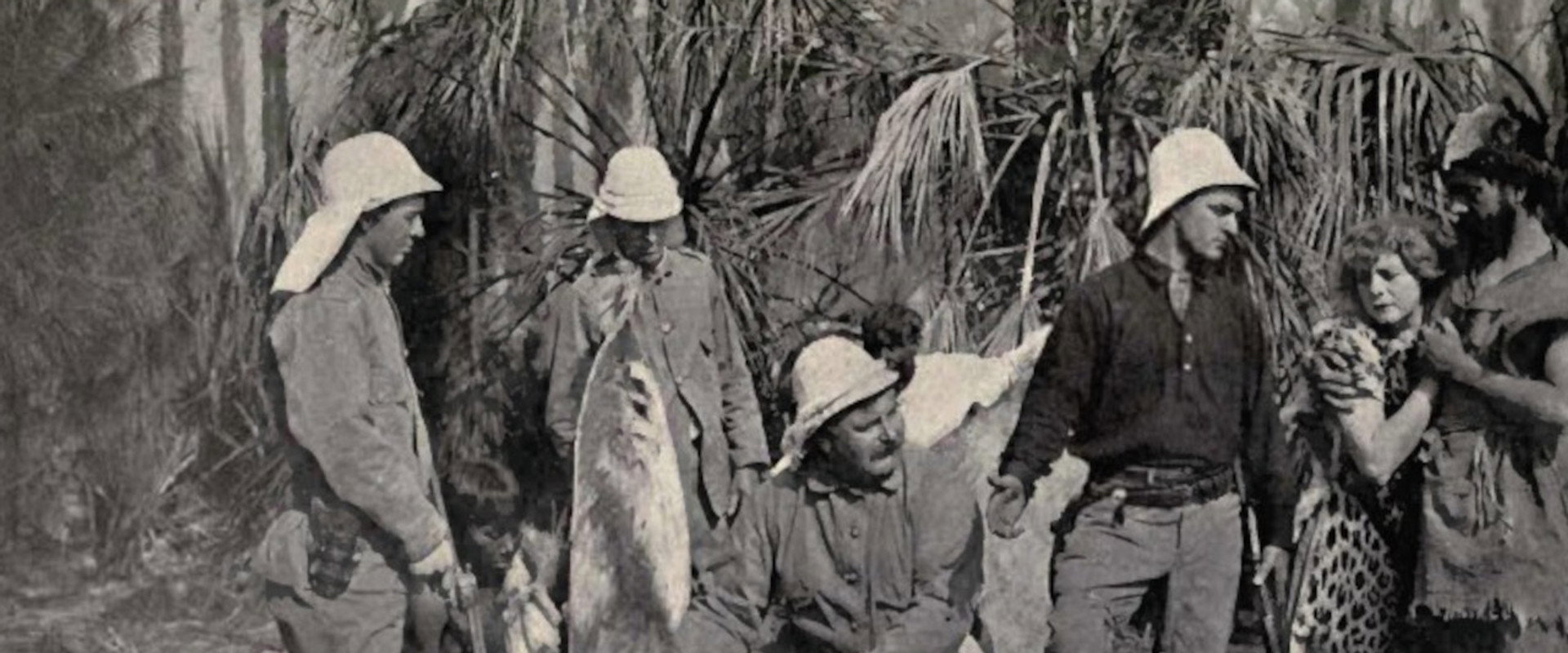 Back to the Primitive's banner image