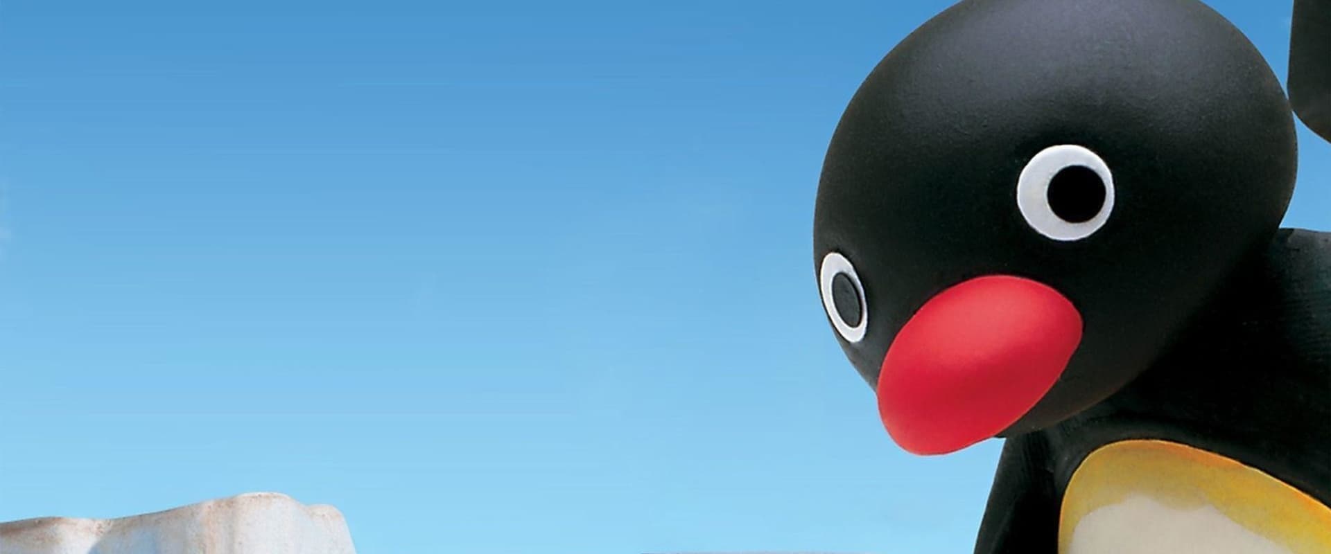 sigaar Onderdrukken Zorgvuldig lezen Pingu (Serie, 1986-2006) kopen op DVD of Blu-Ray