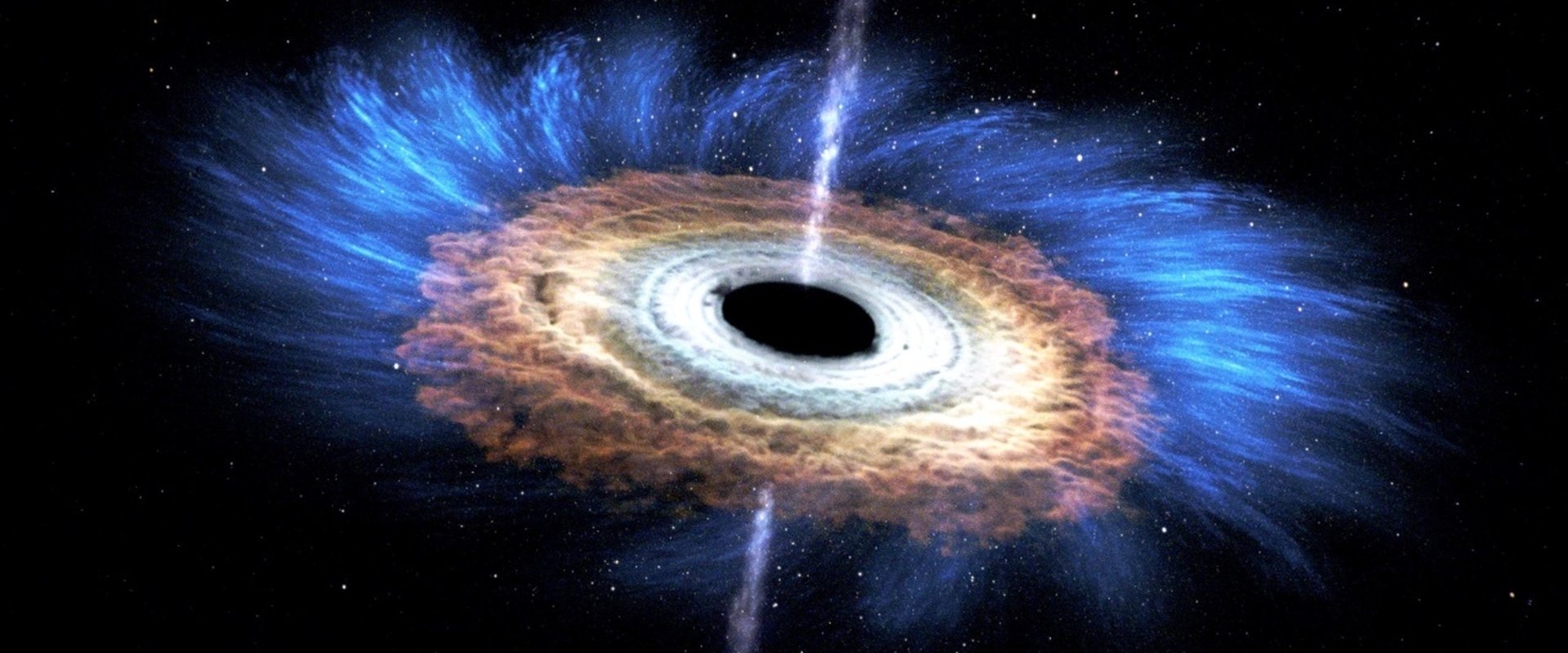 Black Hole Hunters
