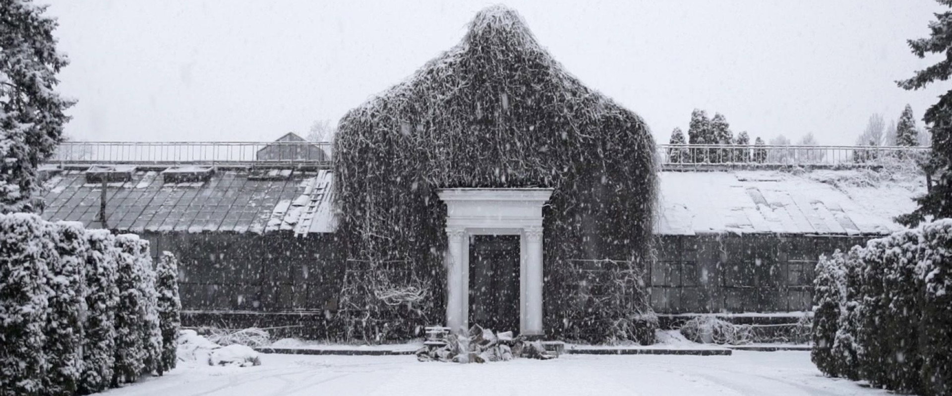 The Winter Garden’s Tale