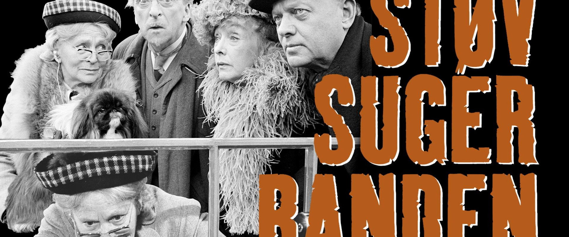 Støvsugerbanden's banner image
