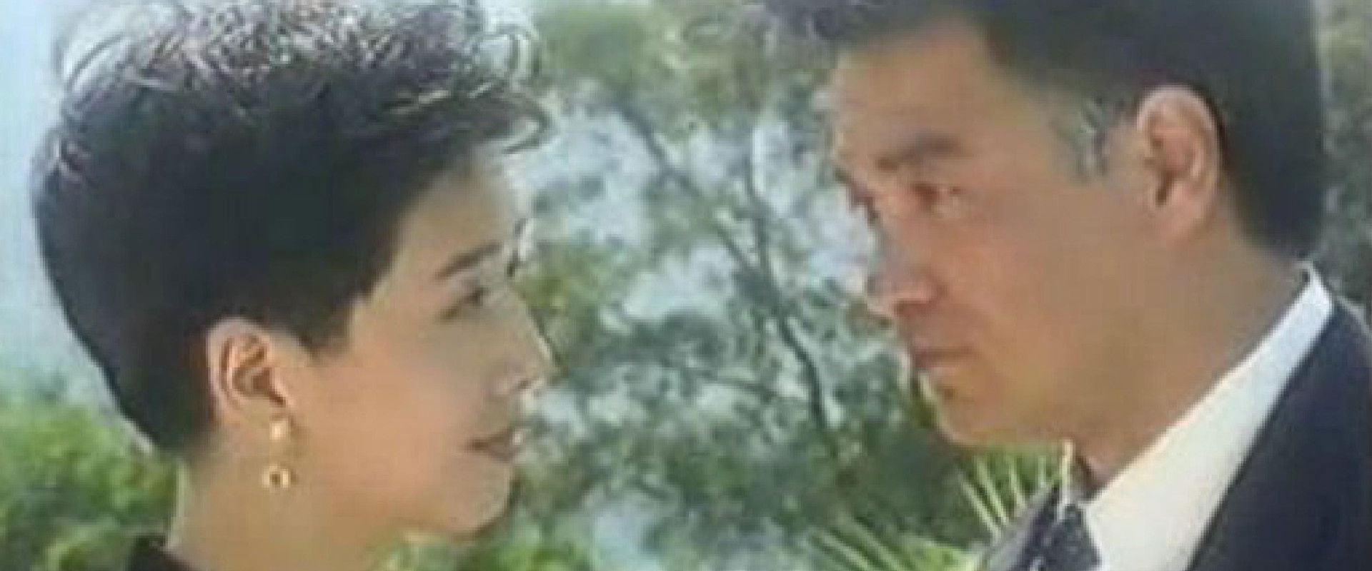 大家族's banner image