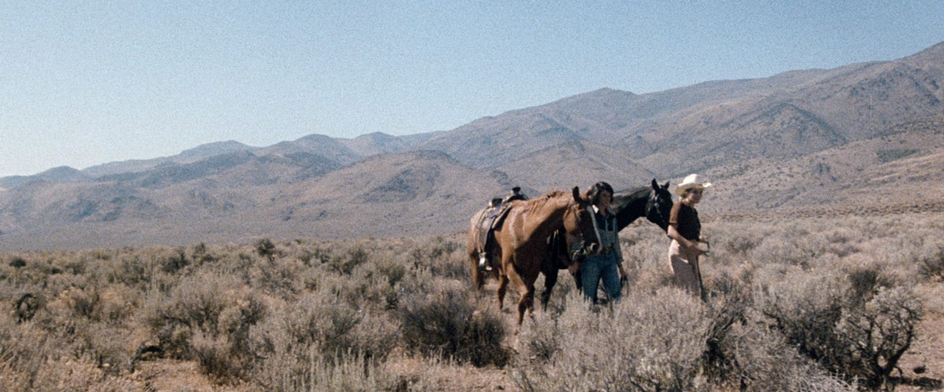 Women in Love: Desert Hearts's banner image