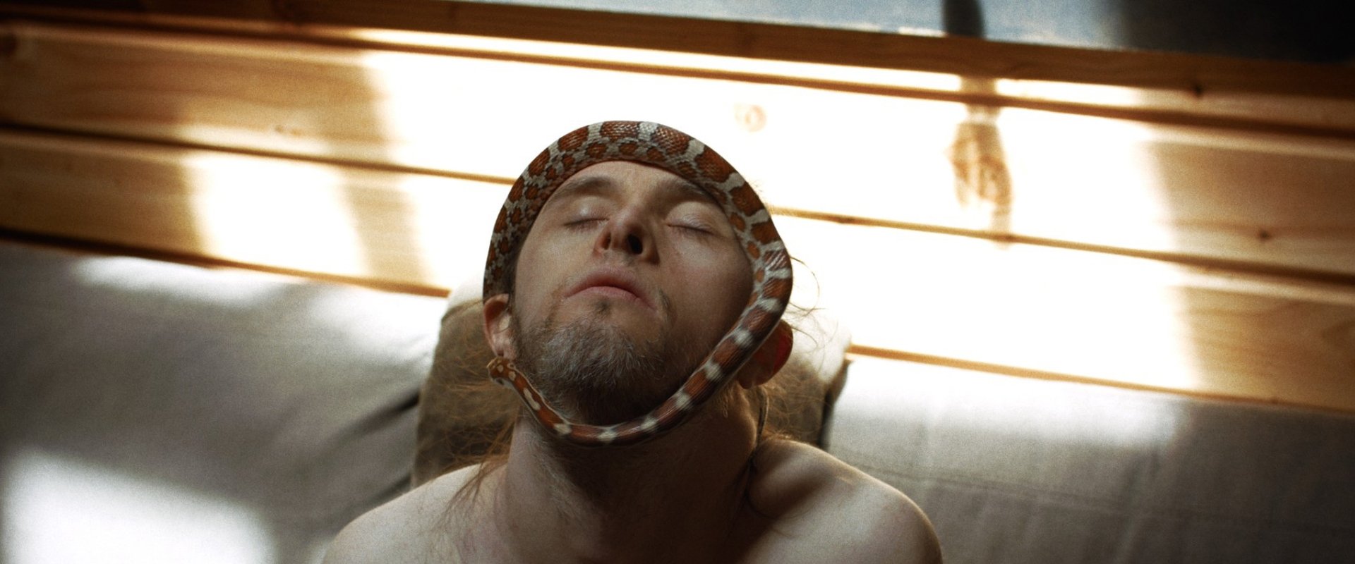 Theo and the Metamorphosis