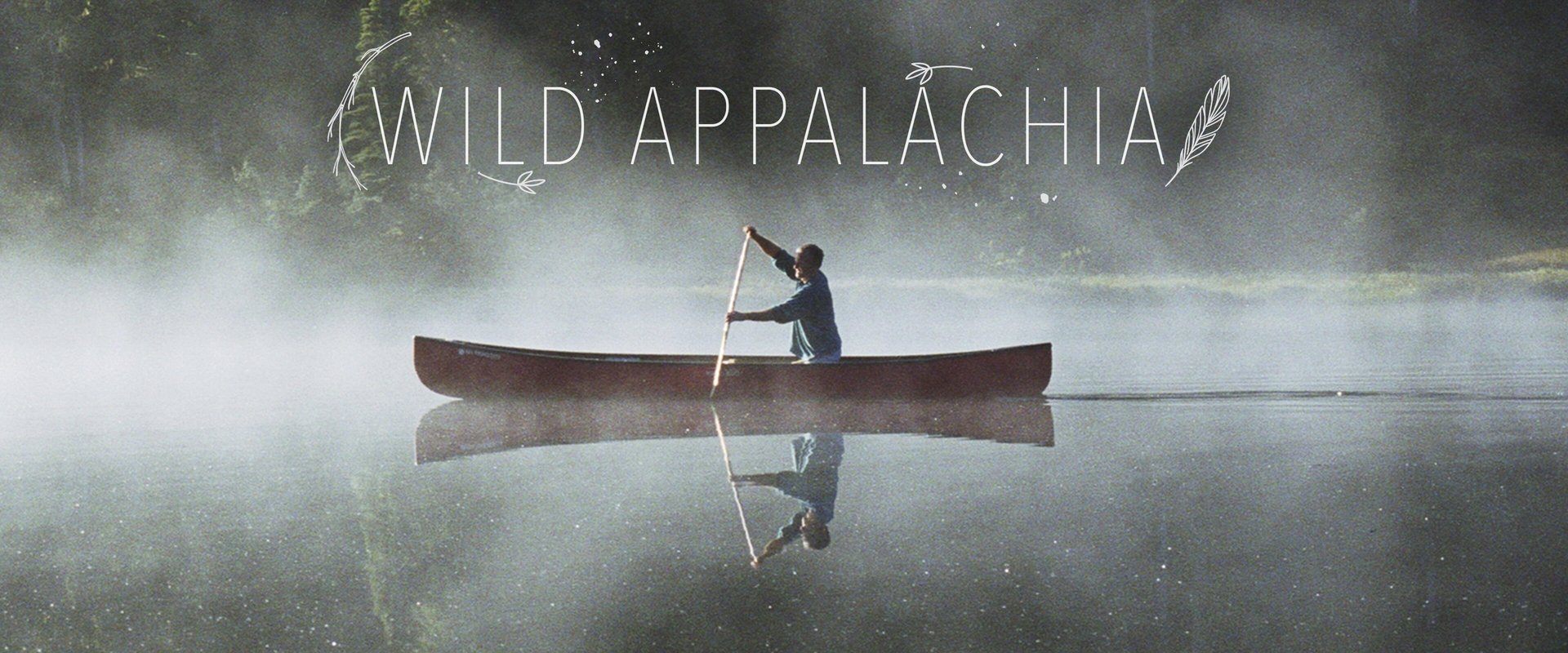 Wild Appalachia