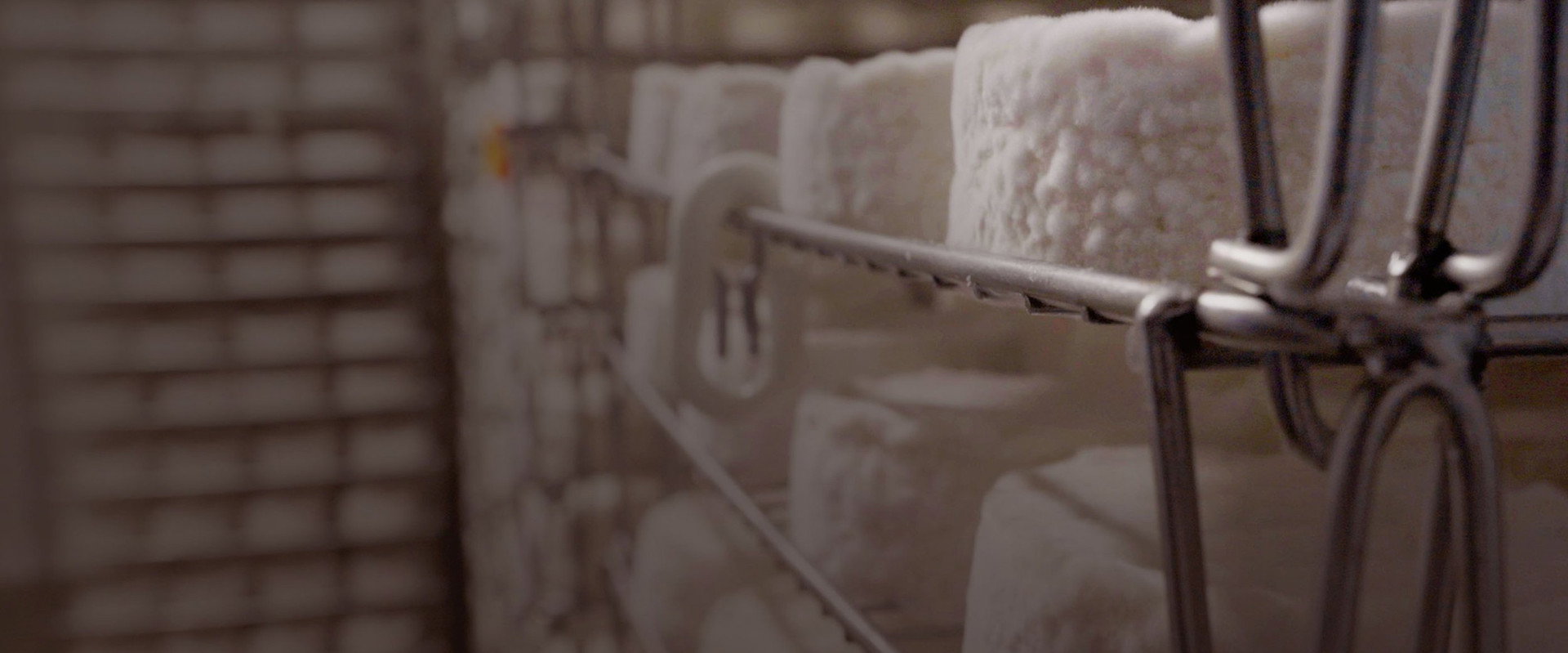 Le camembert nous ouvre sa boîte