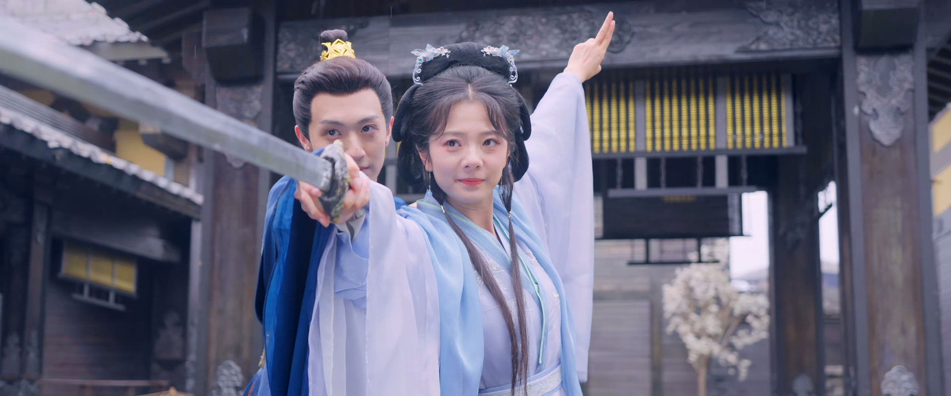 Princess's Venture's banner image