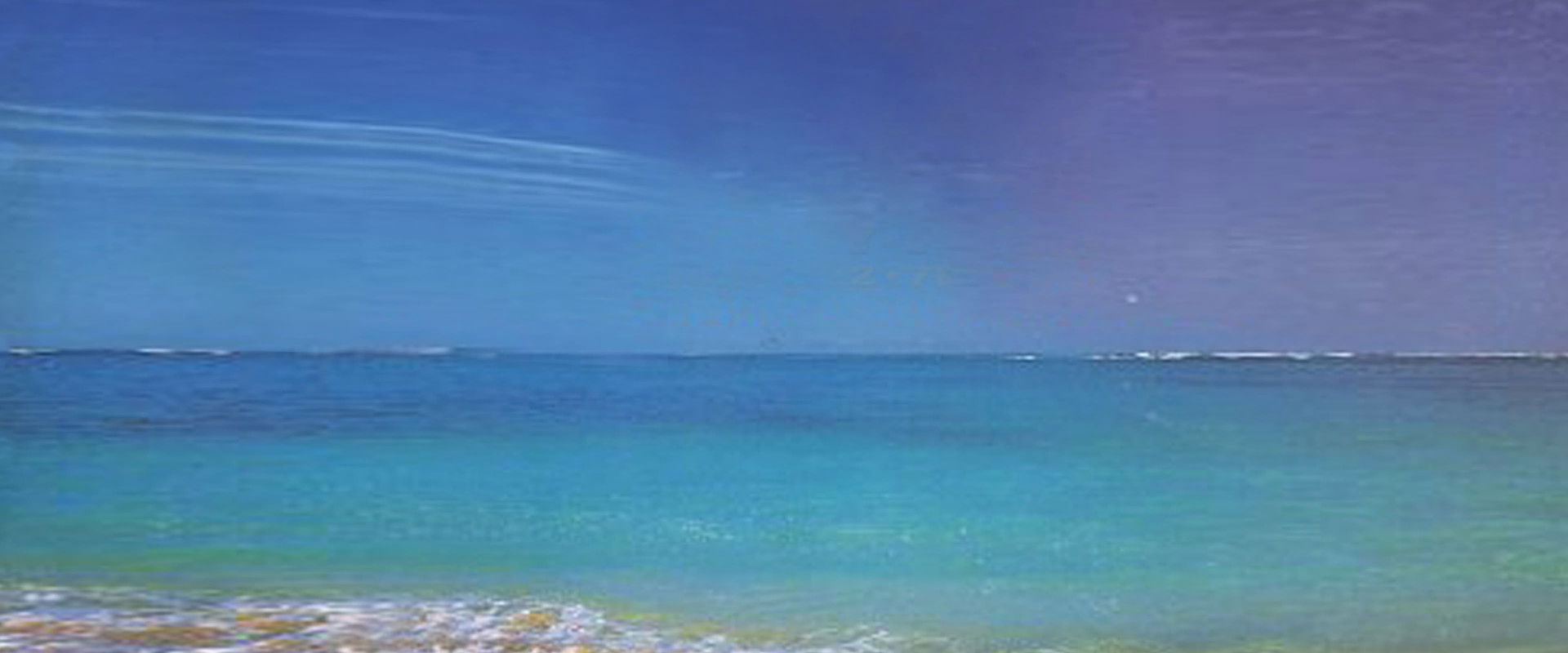 WWE Royal Rumble 1995's banner image