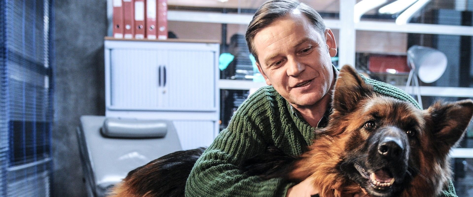 Komisarz Alex's banner image