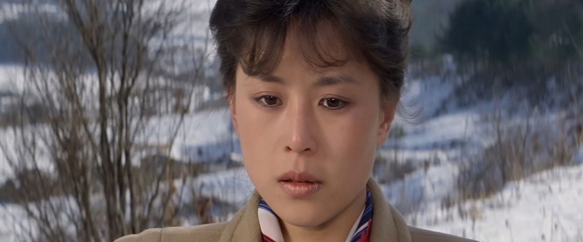 Sparrow and the Scarecrow's banner image