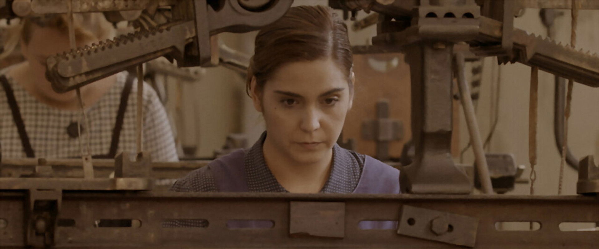 Terra de telers's banner image