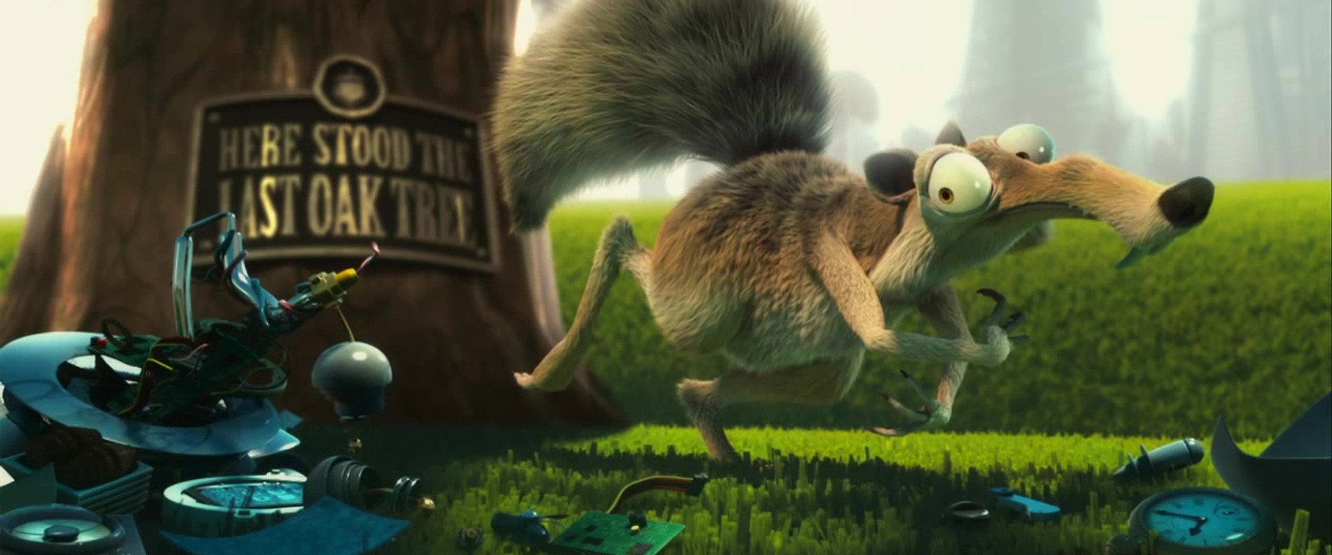 松鼠，坚果和时间机器