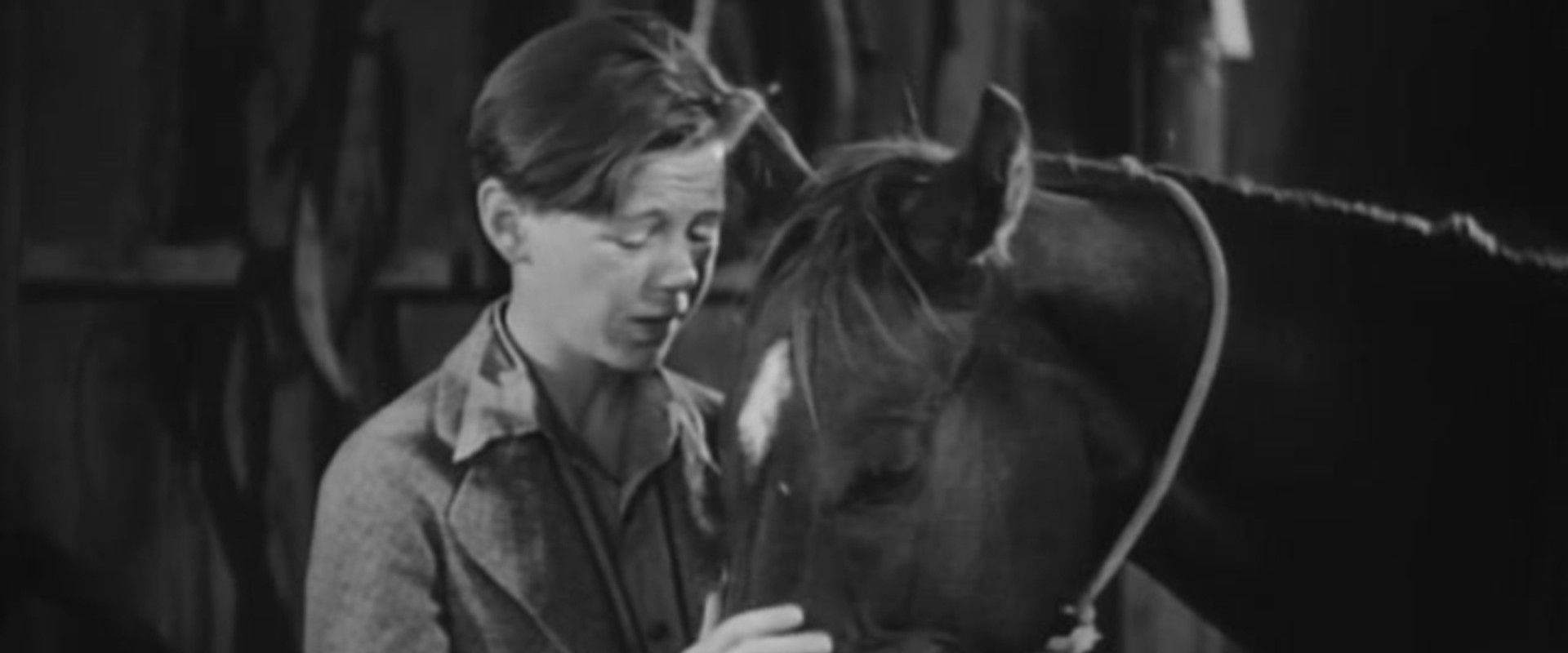 Two Thoroughbreds's banner image