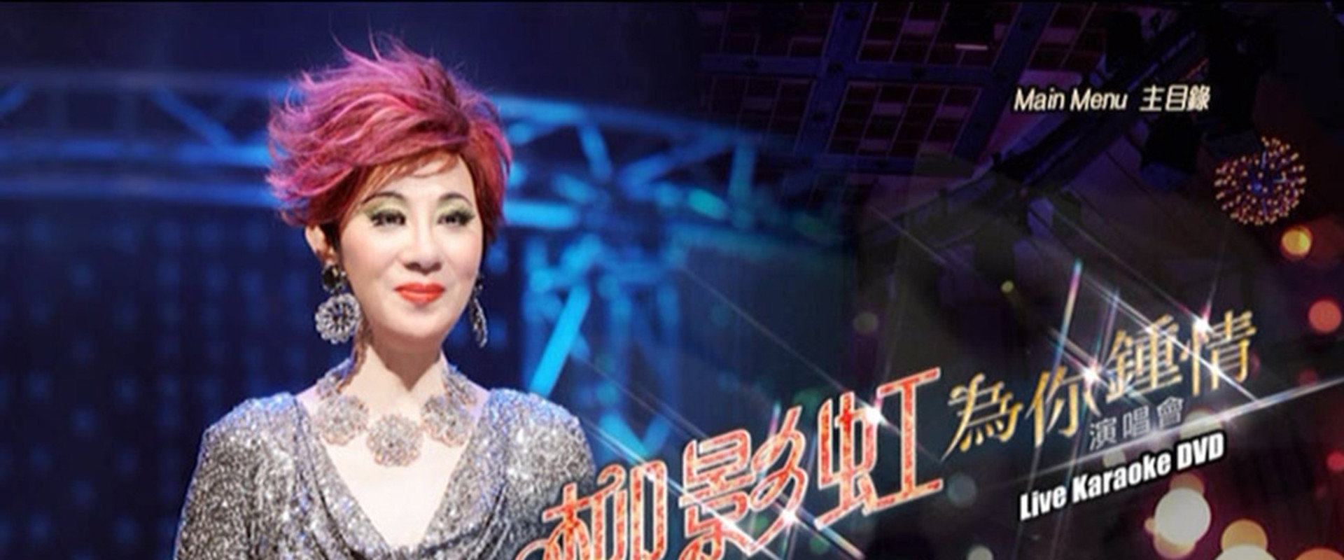 柳影虹 - 为你钟情演唱会2014's banner image