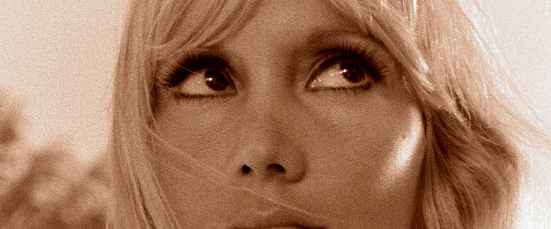 A Mulher de Todos's banner image