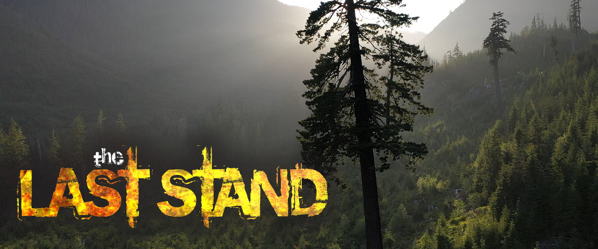 The Last Stand's banner image