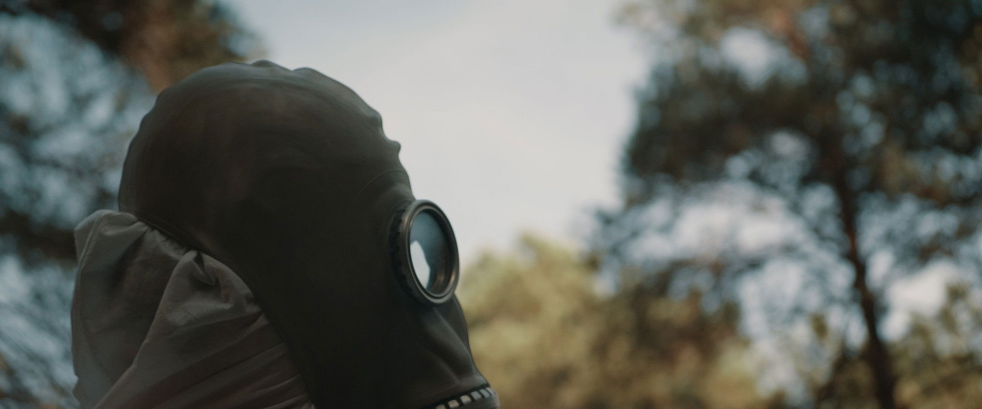 Asteral's banner image