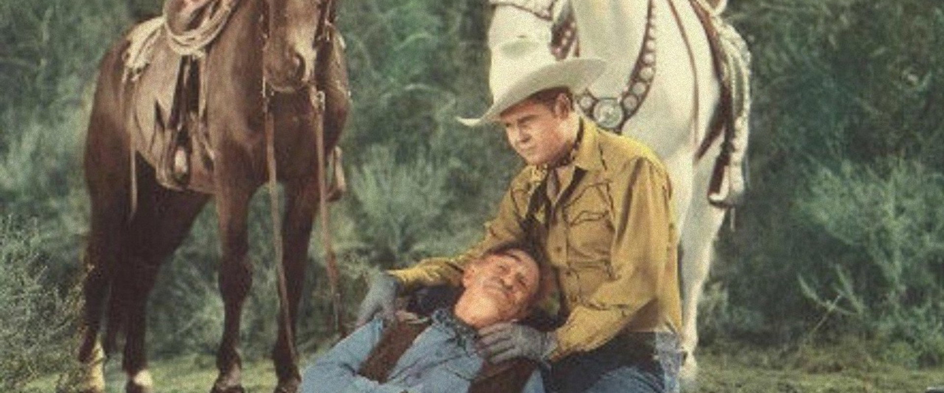 Days of Buffalo Bill's banner image