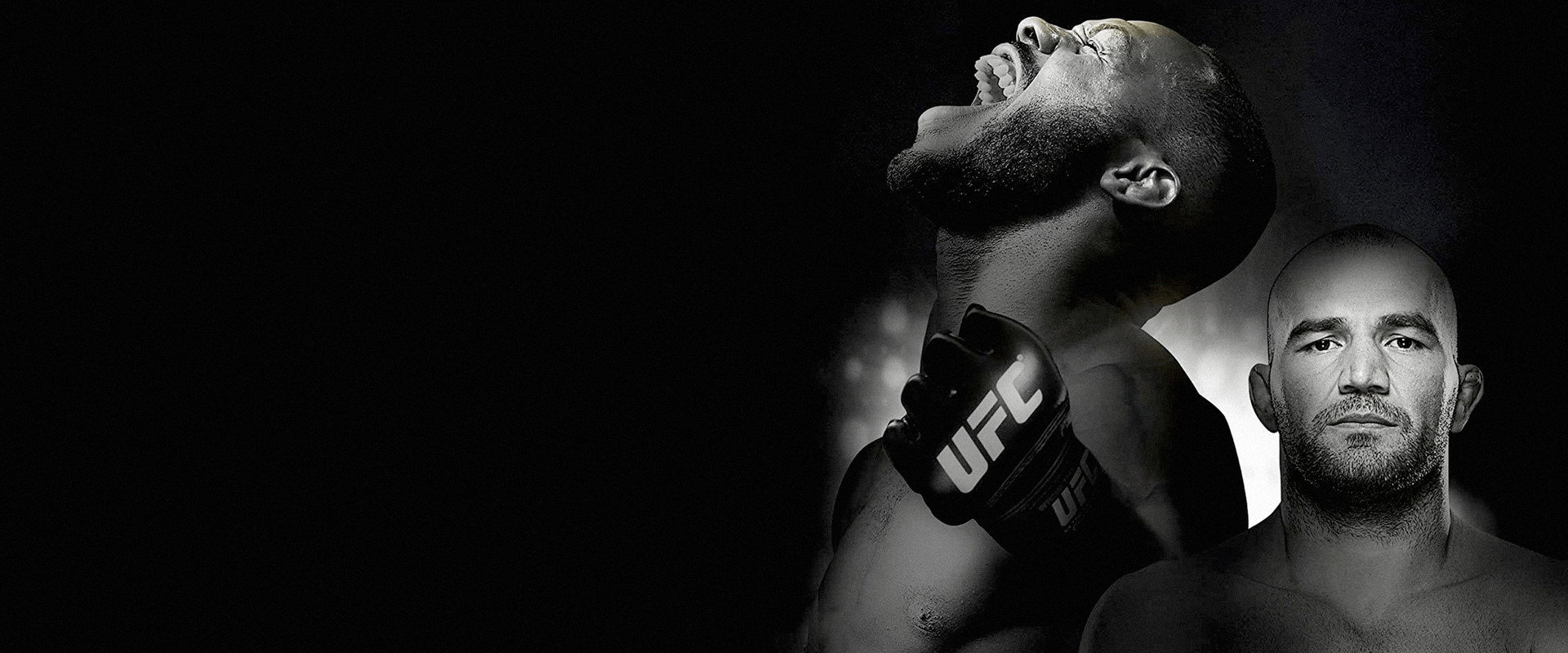 UFC 172: Jones vs. Teixeira