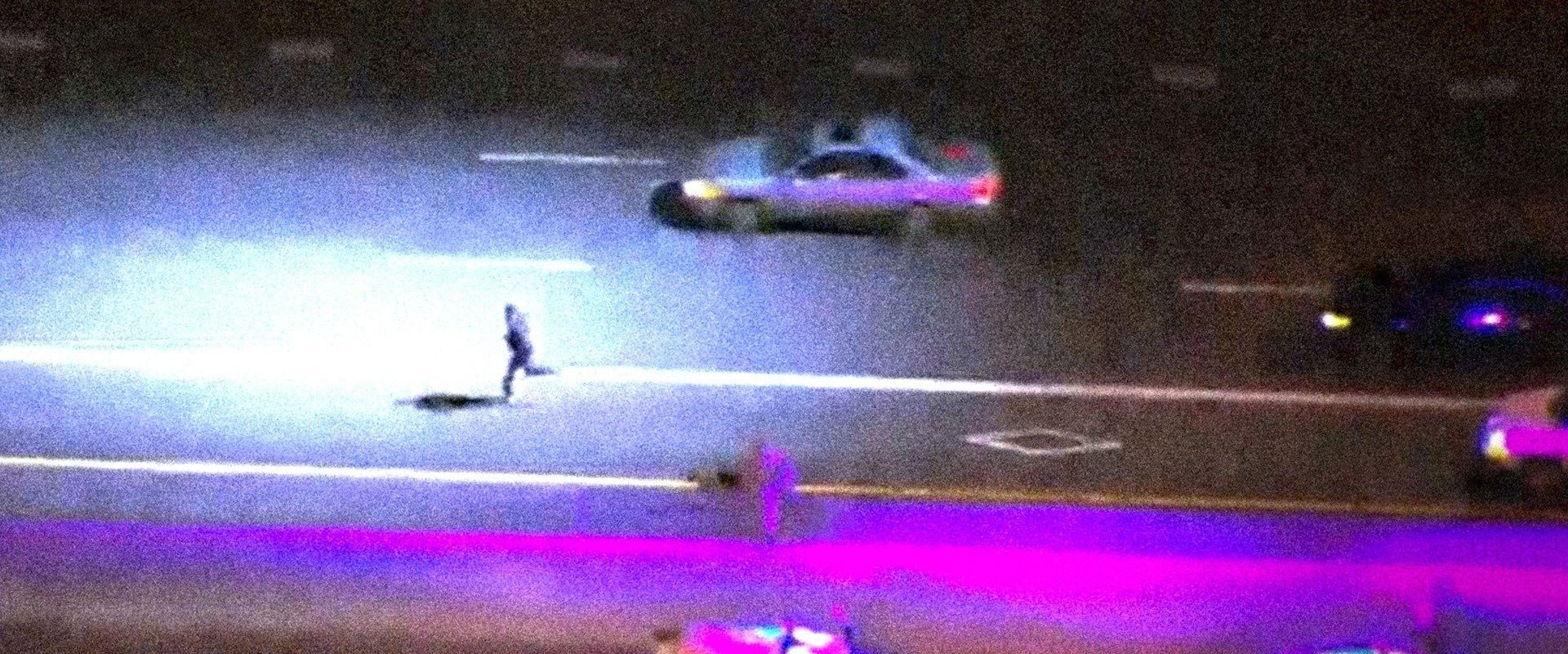 Live PD Presents: PD Cam's banner image