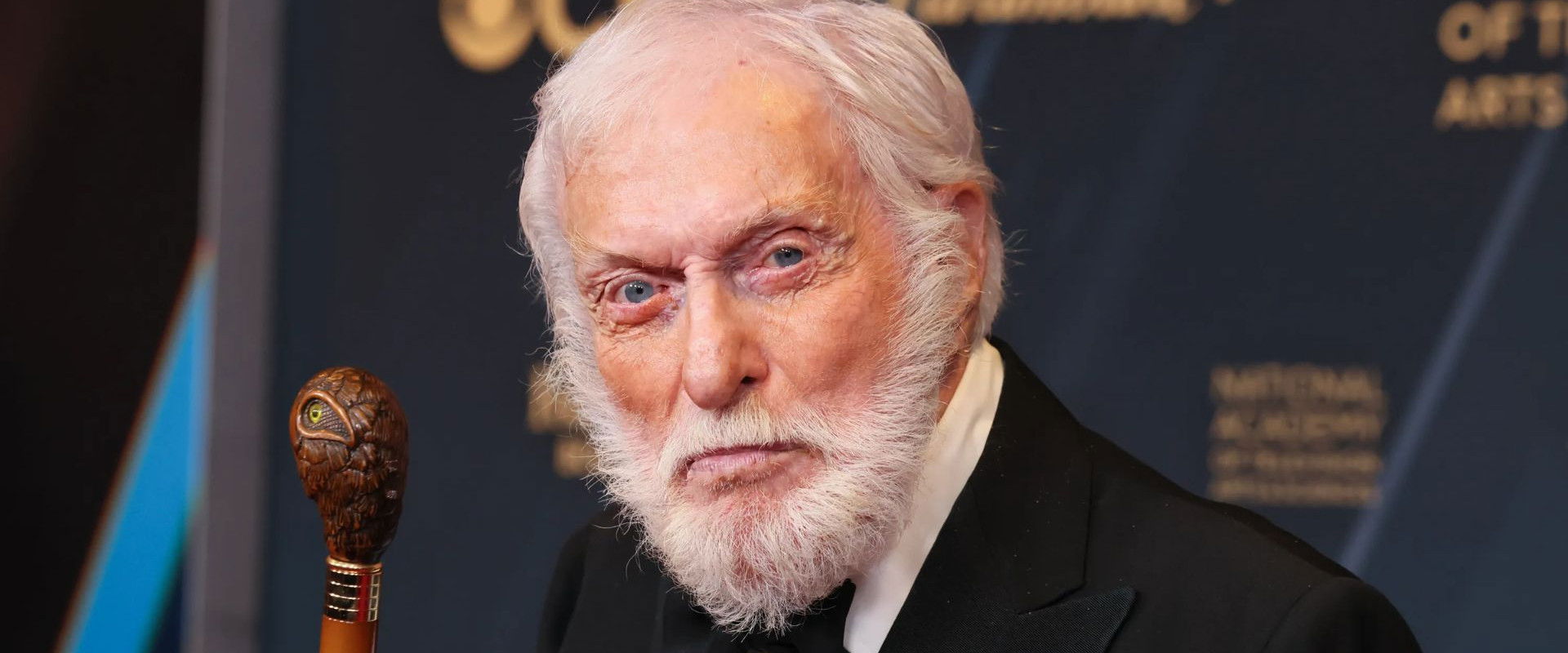 Dick Van Dyke: 100th Celebration's banner image