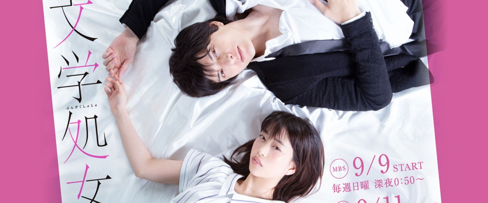 Literary Virgin's banner image