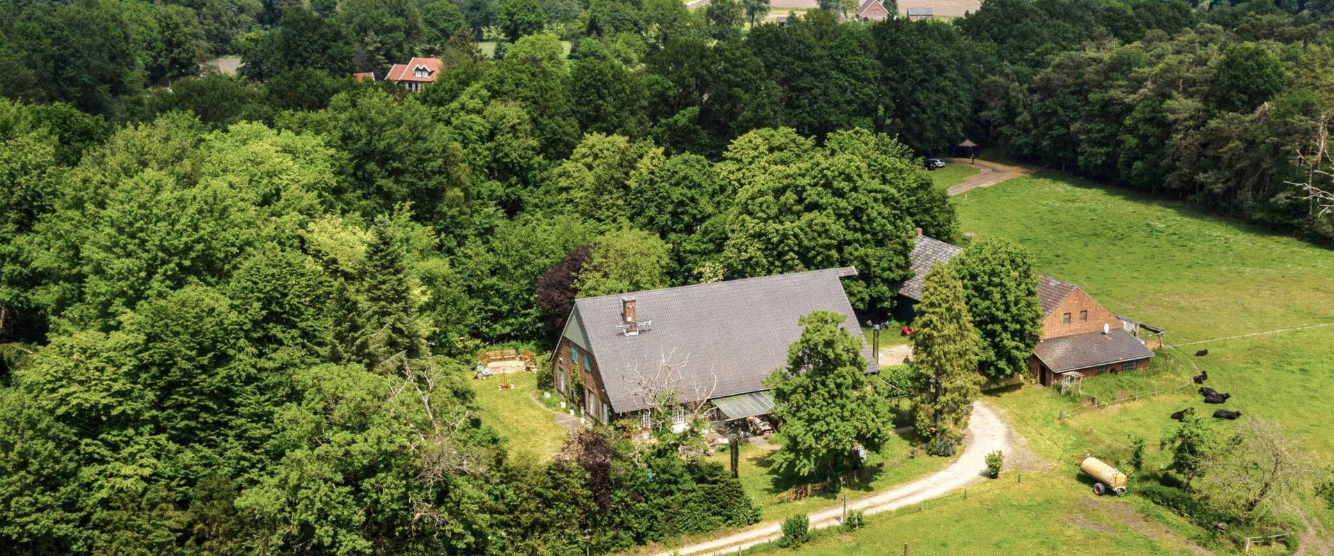 Das Sommerhaus der Stars - Kampf der Promipaare