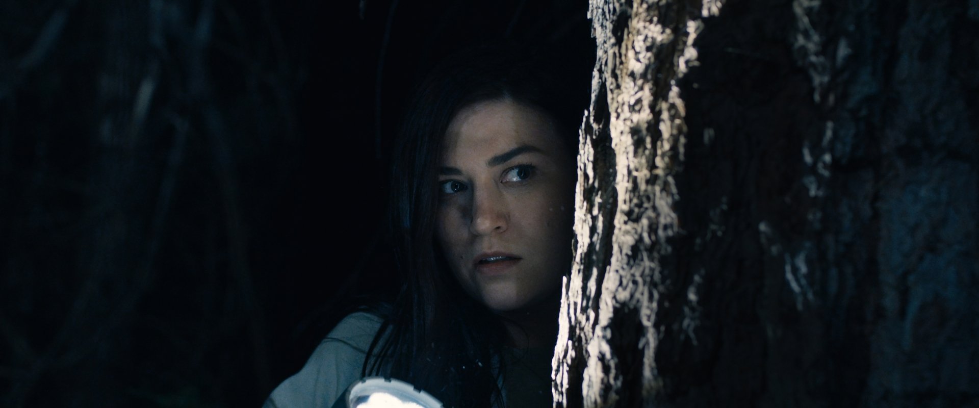 Stranger in the Woods