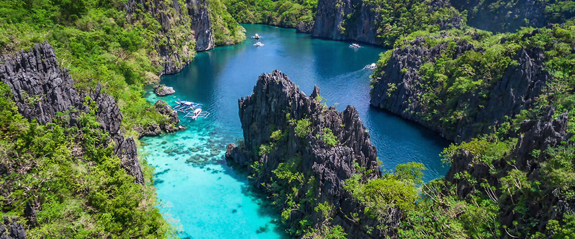Untamed Philippines