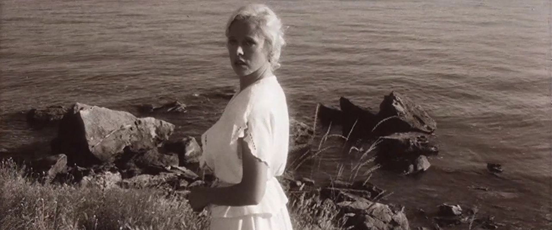 The K Man's banner image