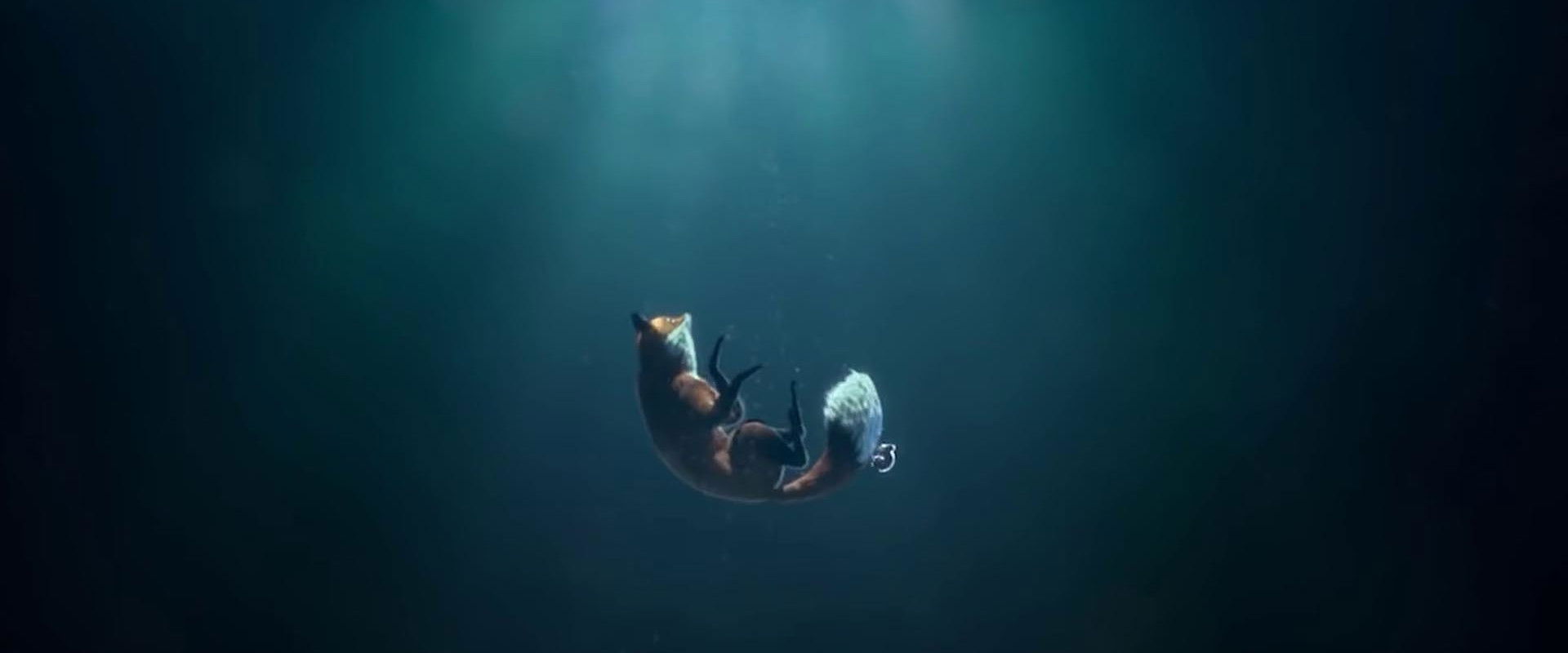 The Short Story of a Fox and a Mouse