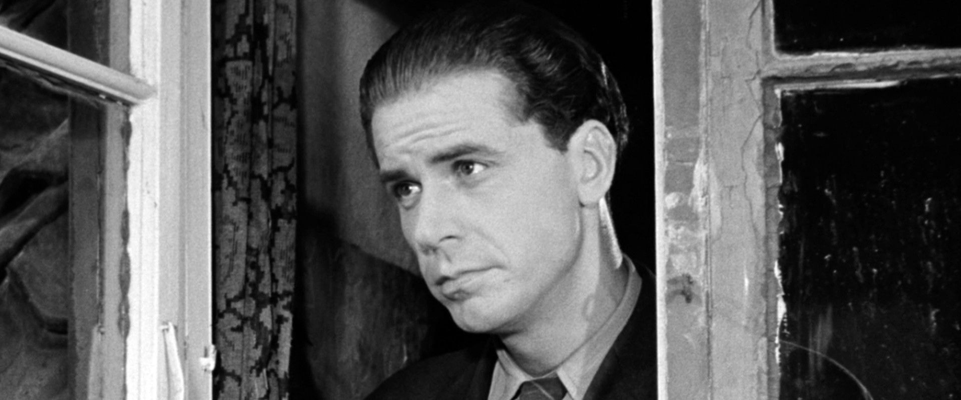 Spurve under taget's banner image