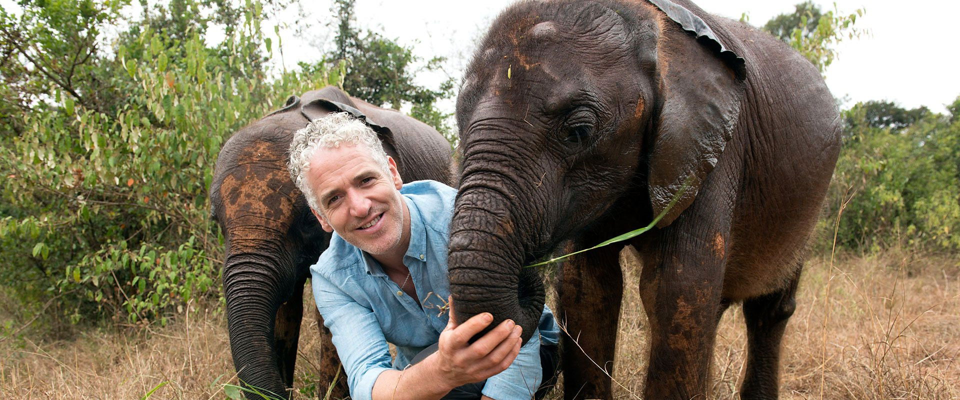 Gordon Buchanan: Elephant Family & Me
