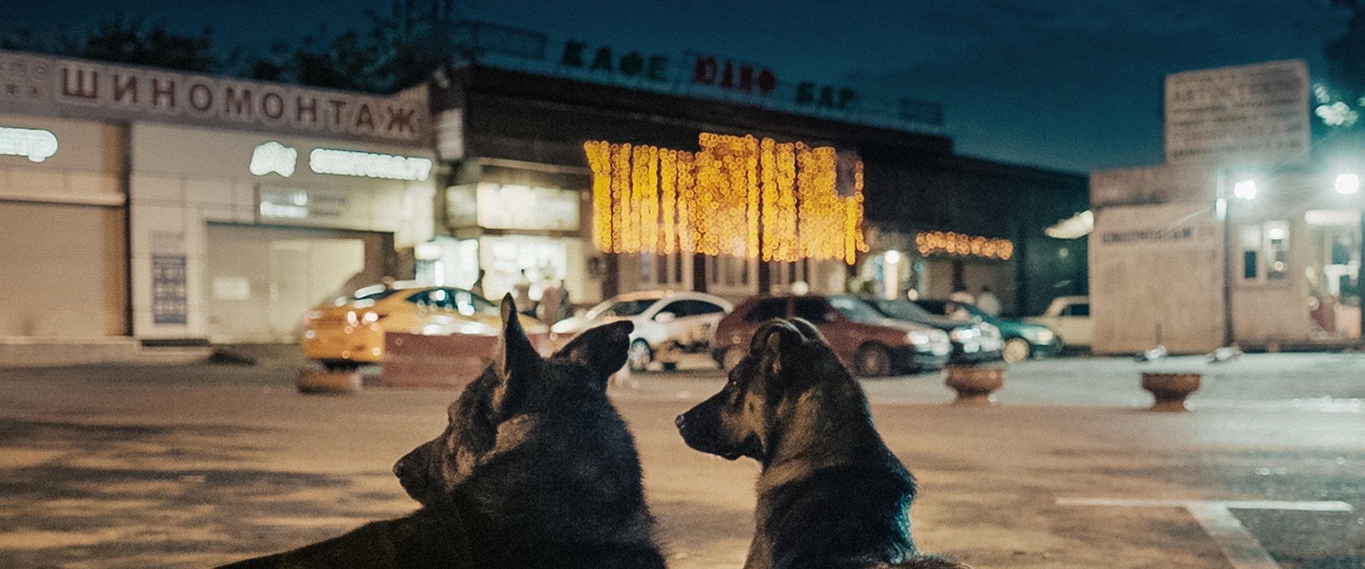 Space Dogs