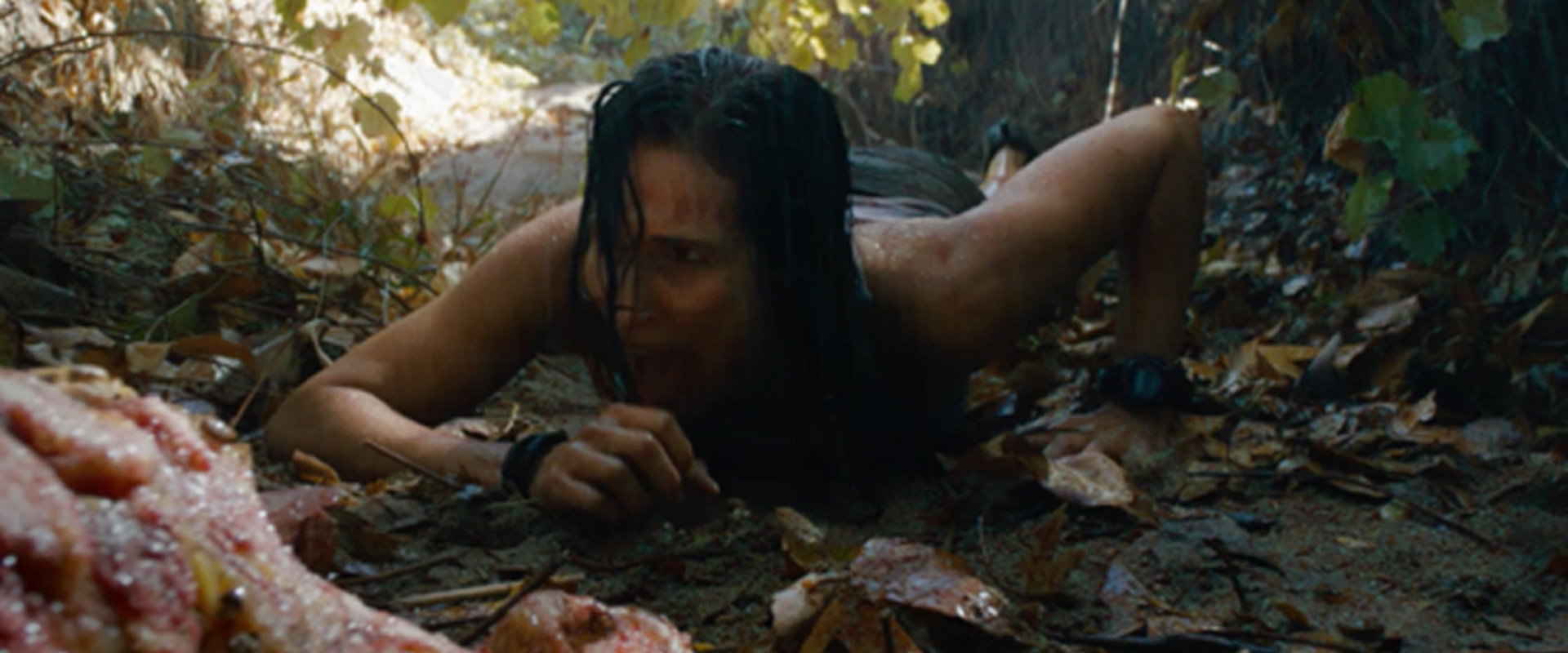 Shallow Water's banner image